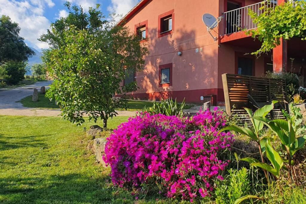 Casa Rural Las Traviesas 2 Candeleda Ngoại thất bức ảnh