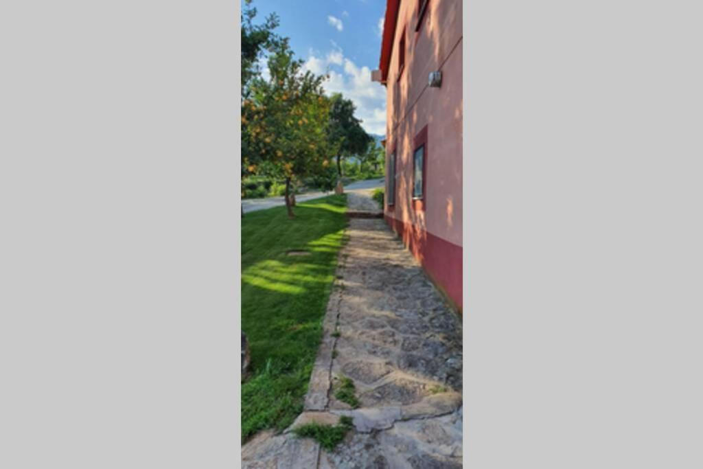Casa Rural Las Traviesas 2 Candeleda Ngoại thất bức ảnh